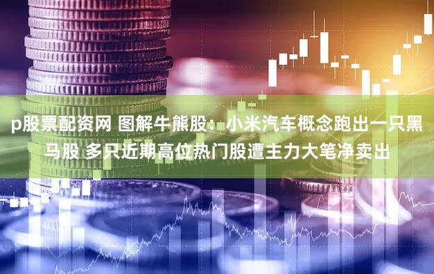 p股票配资网 图解牛熊股：小米汽车概念跑出一只黑马股 多只近期高位热门股遭主力大笔净卖出