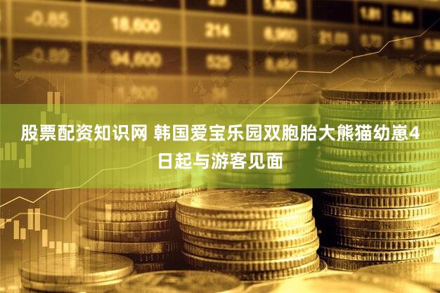 股票配资知识网 韩国爱宝乐园双胞胎大熊猫幼崽4日起与游客见面