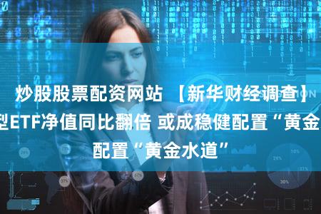 炒股股票配资网站 【新华财经调查】债券型ETF净值同比翻倍 或成稳健配置“黄金水道”