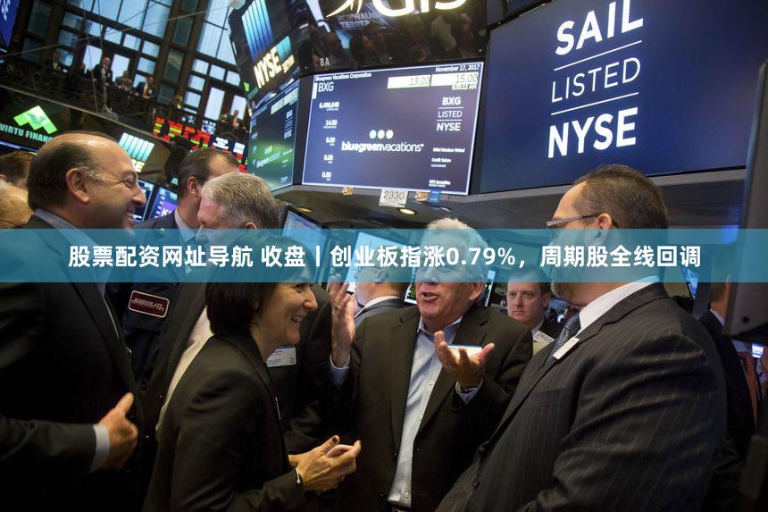 股票配资网址导航 收盘丨创业板指涨0.79%，周期股全线回调