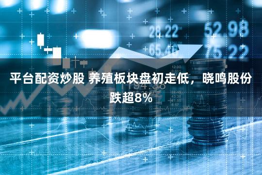 平台配资炒股 养殖板块盘初走低，晓鸣股份跌超8%