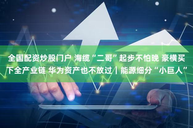 全国配资炒股门户 海缆“二哥”起步不怕晚 豪横买下全产业链 华为资产也不放过｜能源细分“小巨人”