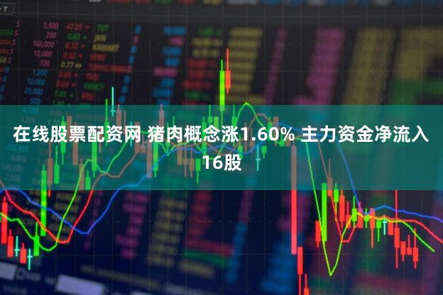 在线股票配资网 猪肉概念涨1.60% 主力资金净流入16股