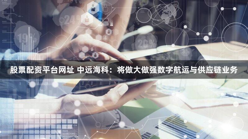 股票配资平台网址 中远海科：将做大做强数字航运与供应链业务