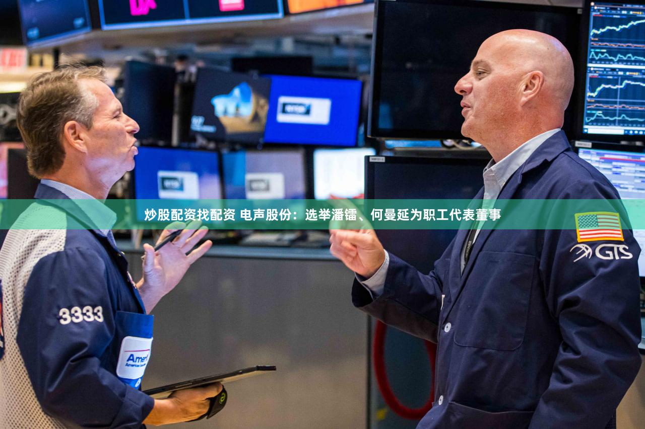 炒股配资找配资 电声股份：选举潘镭、何曼延为职工代表董事