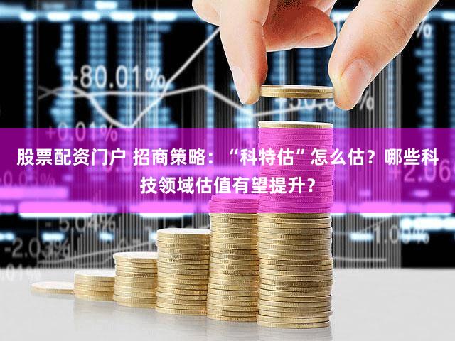 股票配资门户 招商策略：“科特估”怎么估？哪些科技领域估值有望提升？